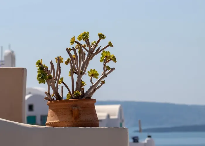 Just Blue Tatil Evi *